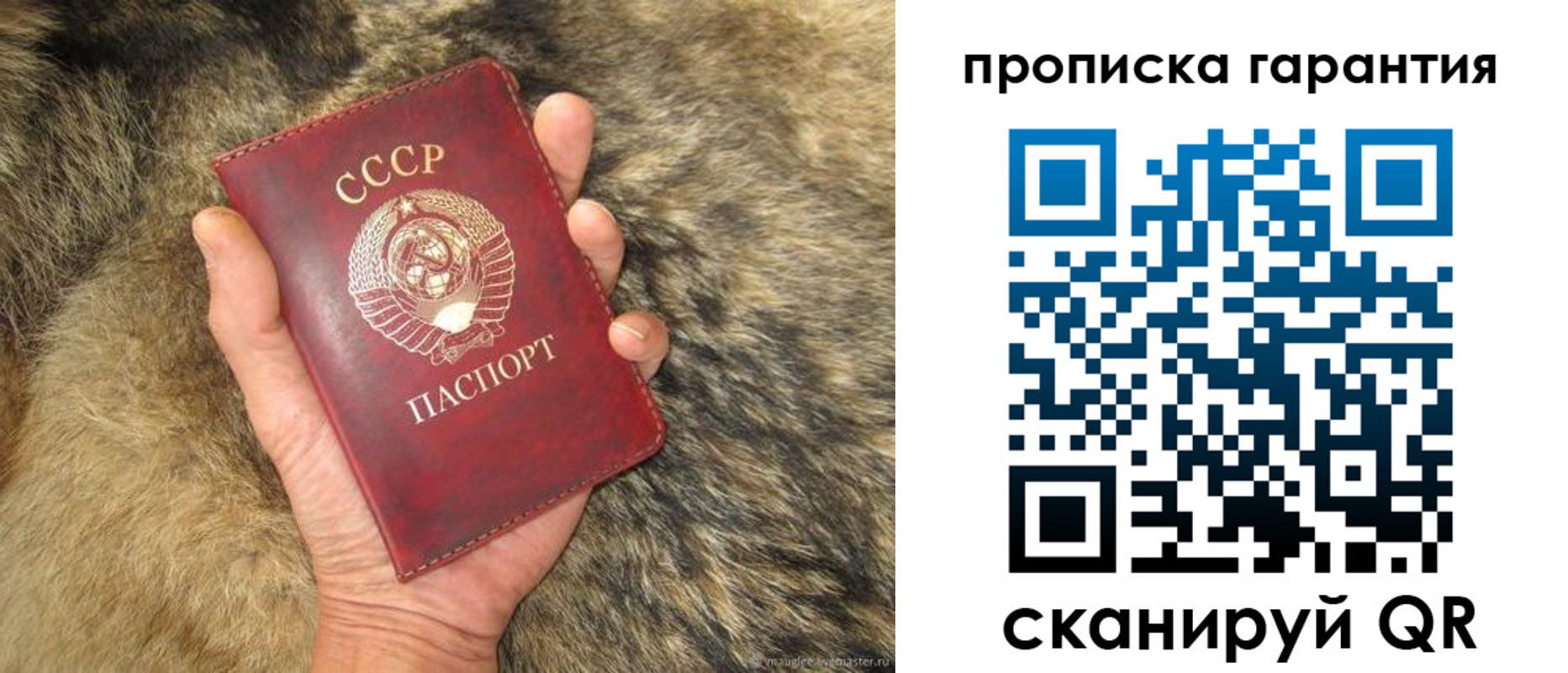 временная регистрация 2025 в Асино